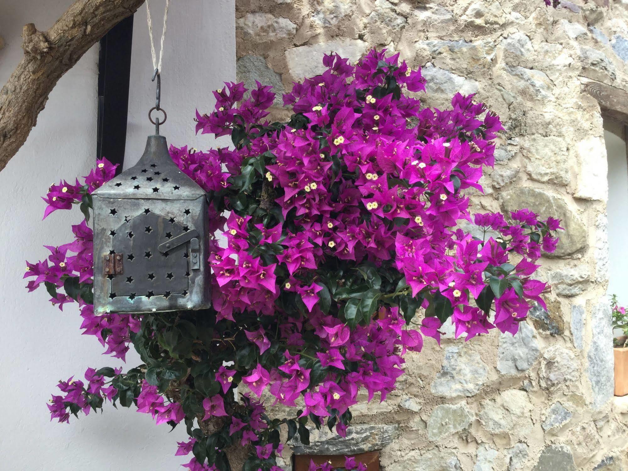 Hotel Villa Tokur Datça Eksteriør bilde